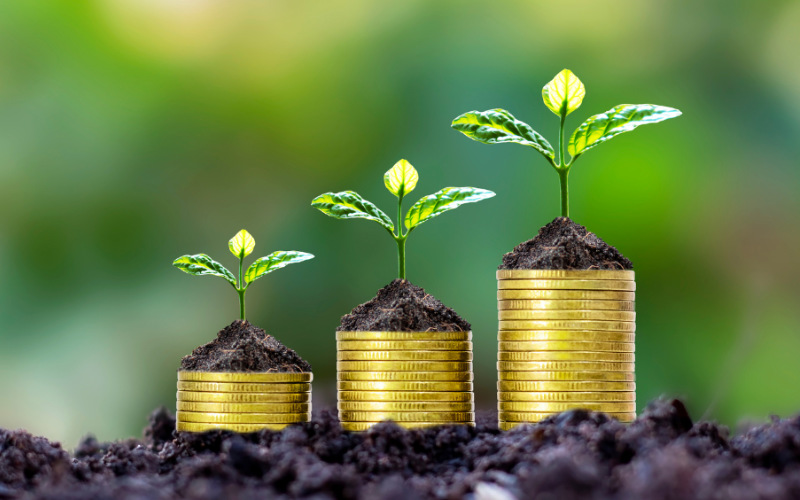 SMSF growth at optimal accountants